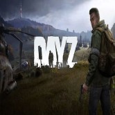 DayZ (PC)