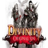 Divinity Original Sin (PC)